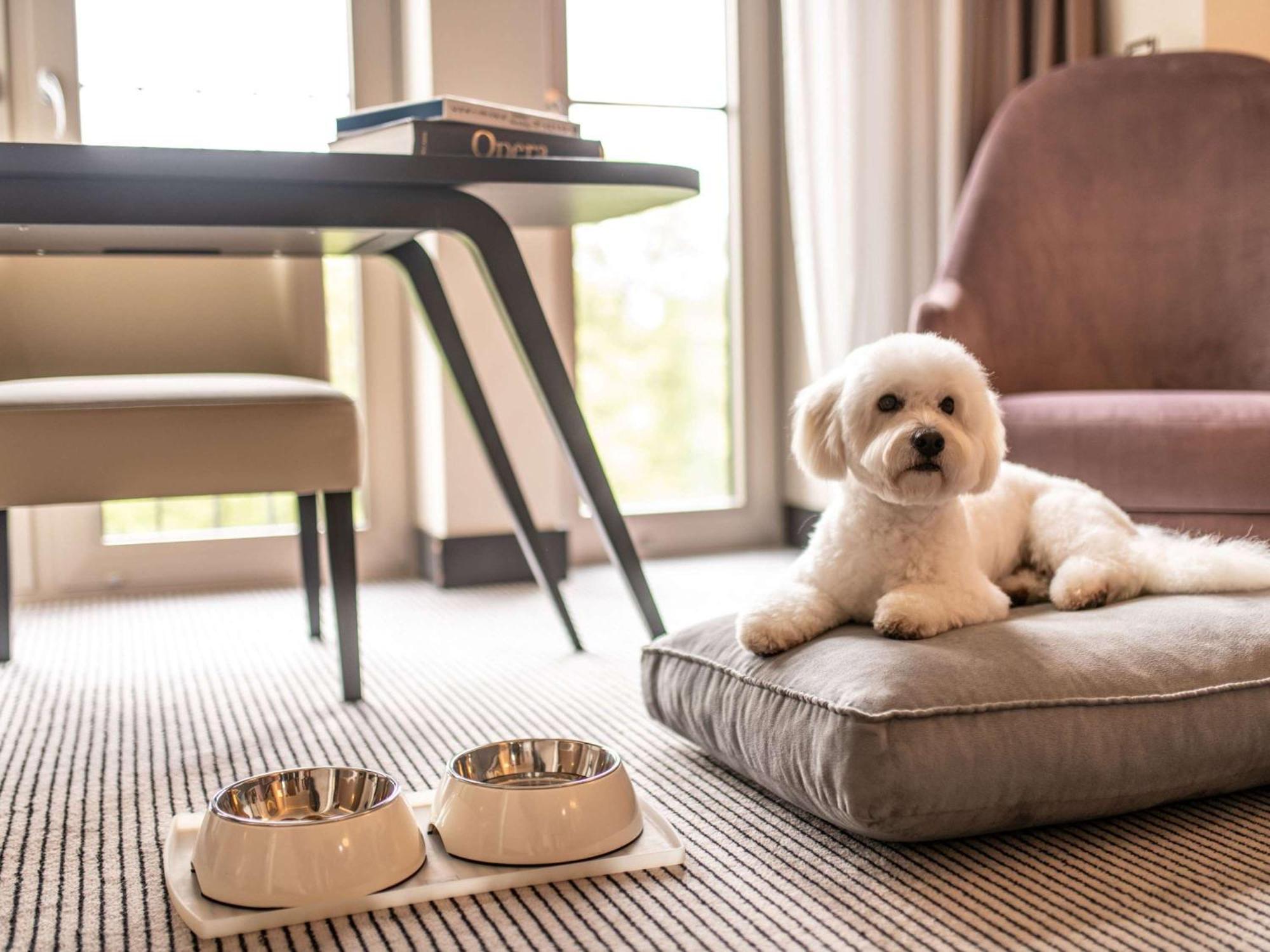 Sofitel Frankfurt Opera Hotel Frankfurt am Main Eksteriør billede A dog at the Mandarin Oriental, Munich